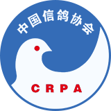 中国信鸽协会官网