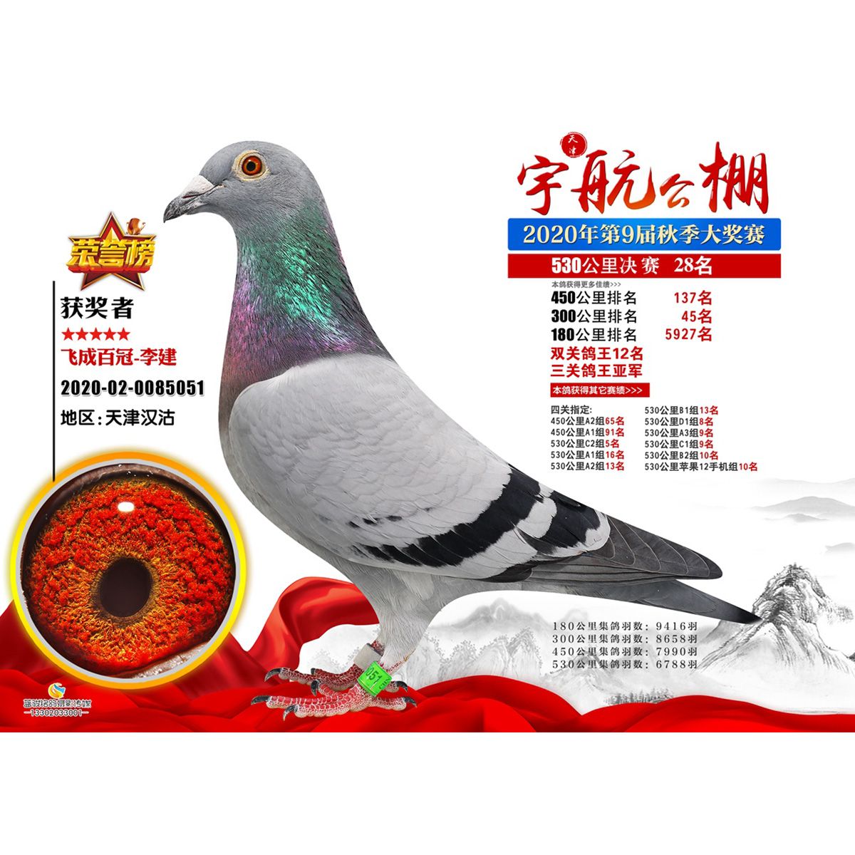 中国信鸽公棚鸽王排名赛 -- 中国信鸽协会官方网站