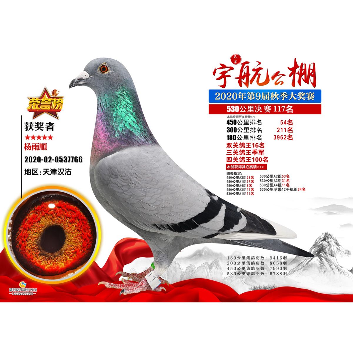 2470 km7889羽第87名0.0357文冠鸽