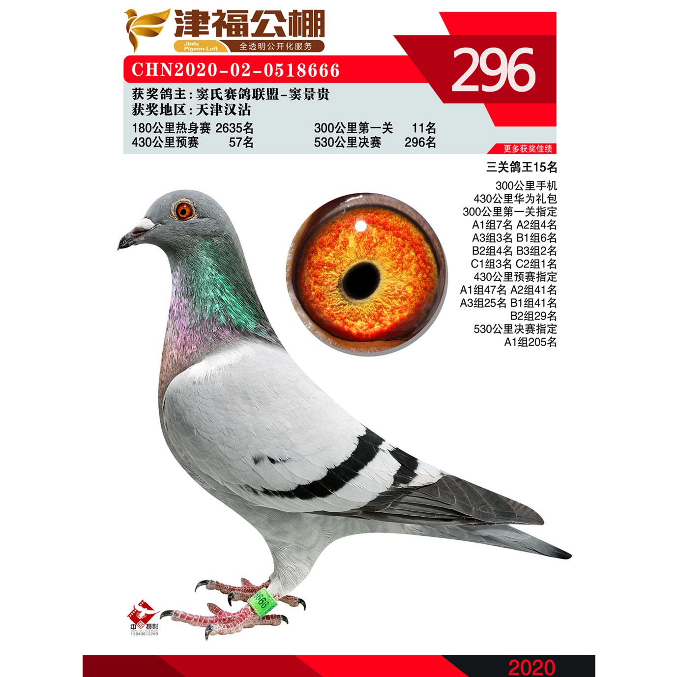 中国信鸽公棚鸽王排名赛 -- 中国信鸽协会官方网站