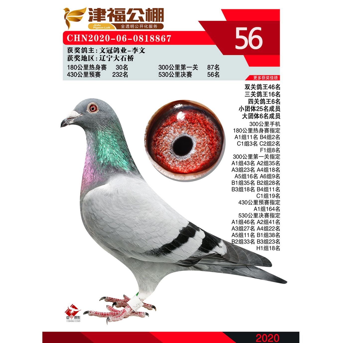 0357文冠鸽业-李文2020-06-0818867天津津福赛鸽公棚0.