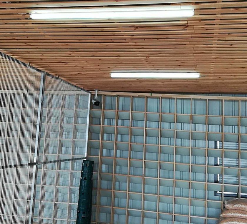 在公棚的管理上邢董也分享了他独到的经验,"复杂的简单化,简单的程序