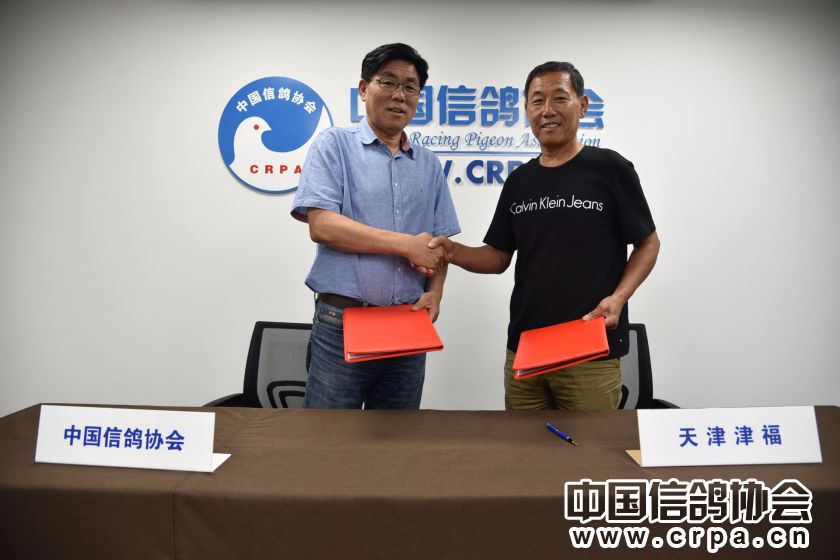 中国信鸽协会授予天津津福赛鸽俱乐部战略合作伙伴称号