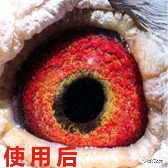 a51104a98b72d17b3cdf88da279a4aa.png