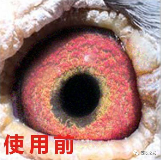 817a151fcc9ec8c6dc3fc8dc12d8b6f.png