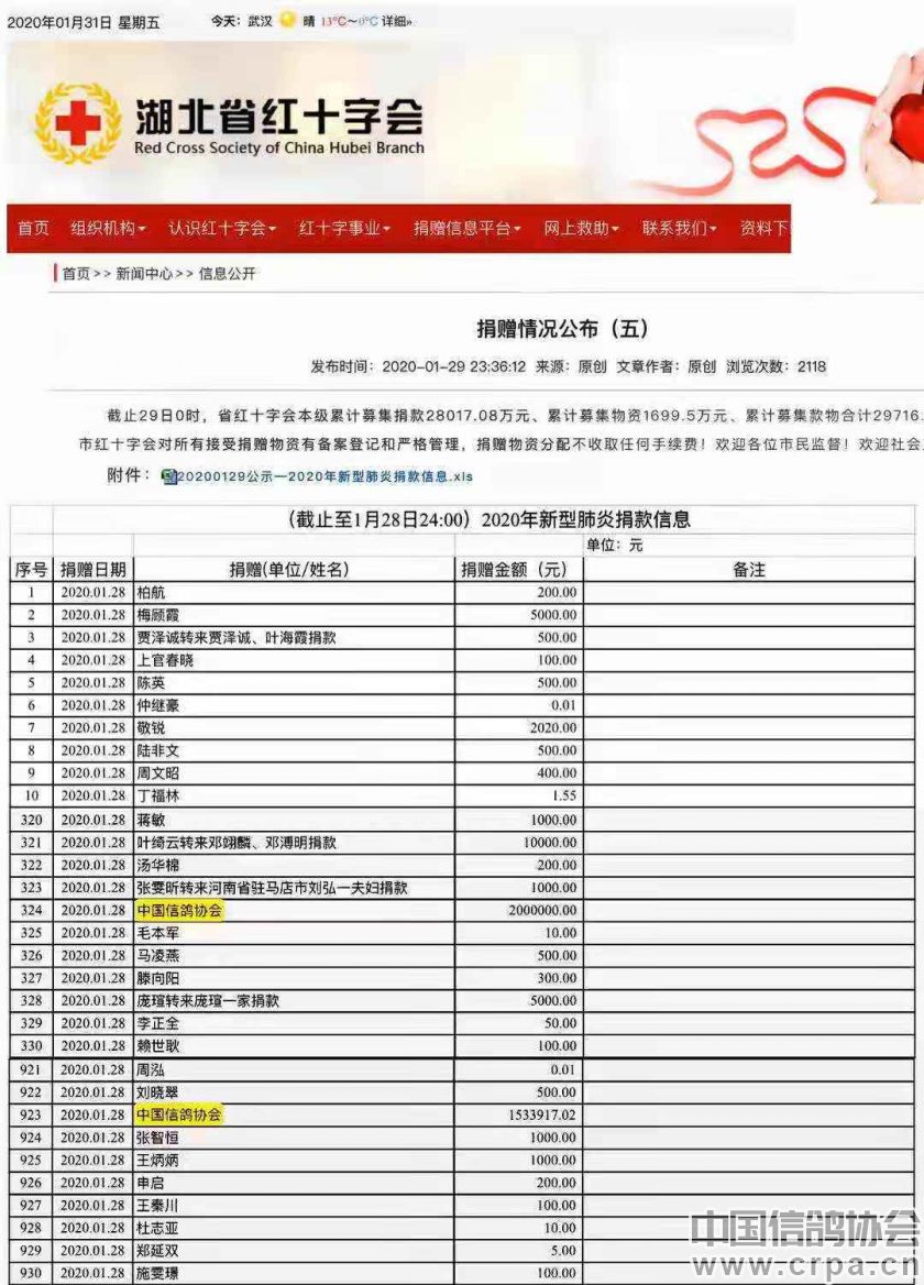 小信鸽大爱心 中国信鸽协会官方网站