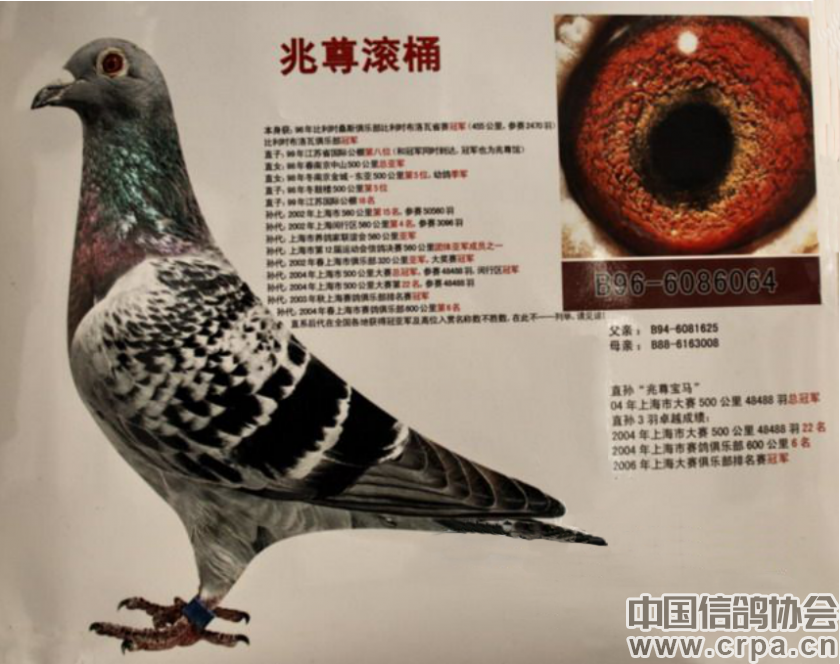 谨以此文缅怀兆尊馆胡维奇先生