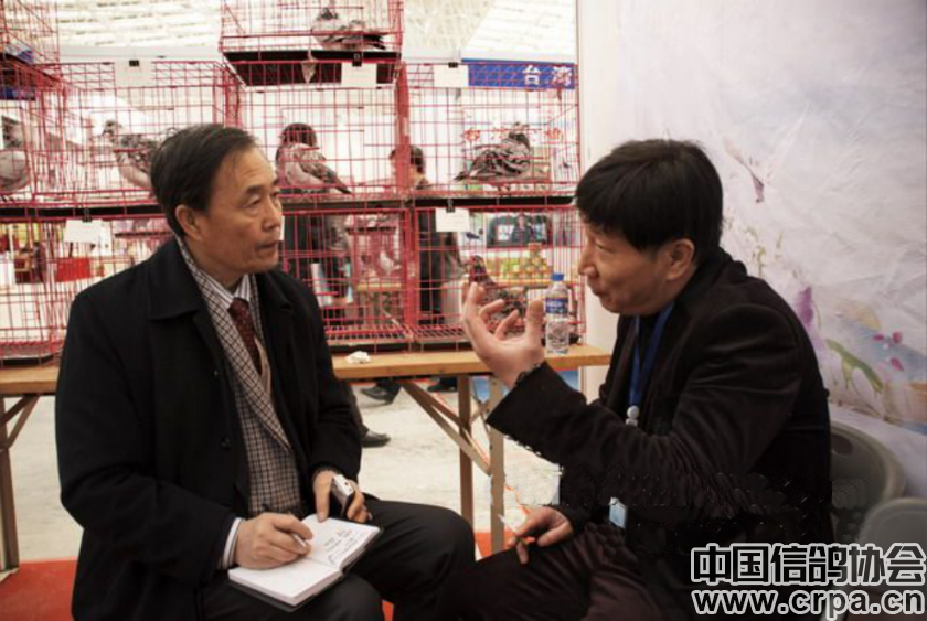 谨以此文缅怀兆尊馆胡维奇先生--中国信鸽协会官方网站