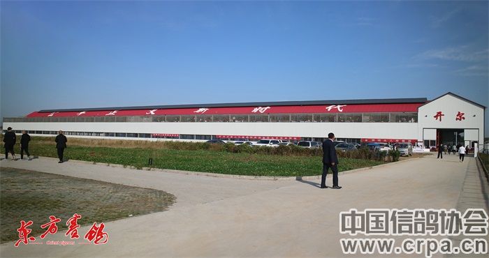 开尔国际赛鸽爱心公棚