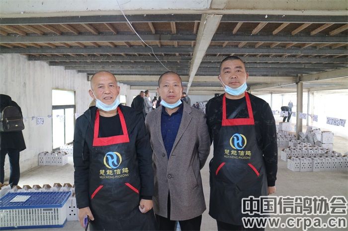 一起看鸽留念安徽合肥名家沈愚自威力公棚在2001年有外省鸽友参赛以来