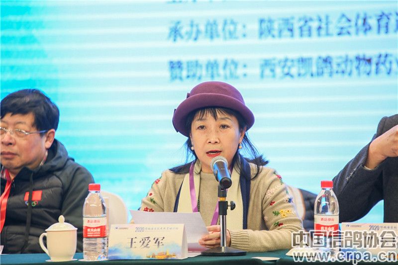 陕西省信鸽协会秘书长王爱军中国信鸽协会秘书长王佳鑫西安凯鸽动物