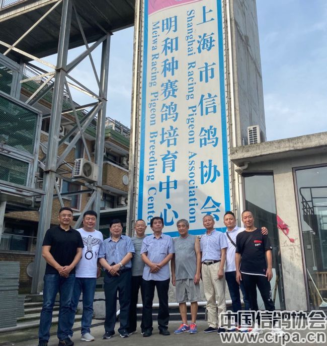 中国信鸽协会信鸽赛制研讨会在上海召开