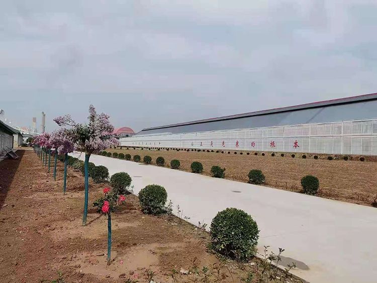 慧行四海 能翔九州—西安慧能春棚