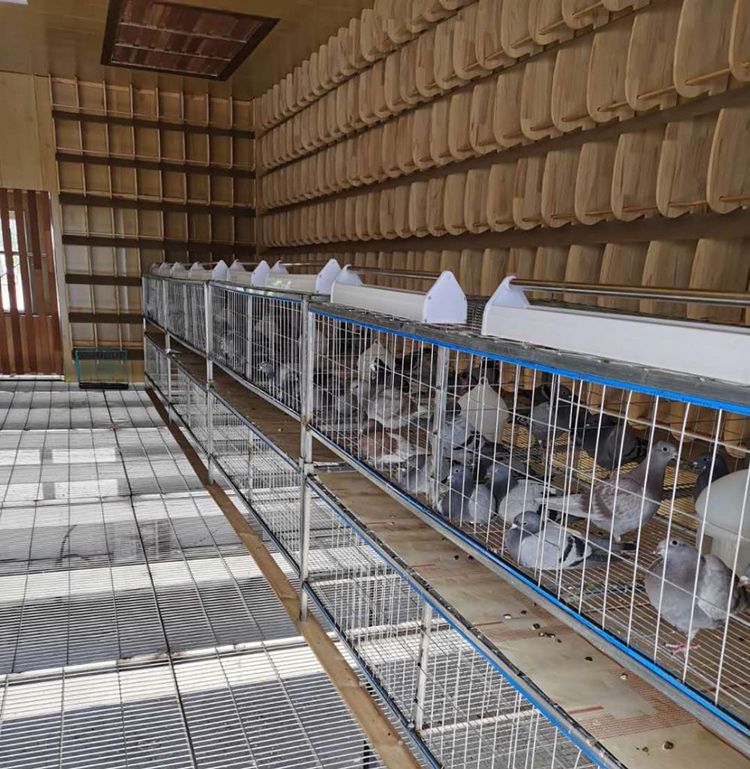 塞北山城欢迎您张家口庆翔公棚春棚