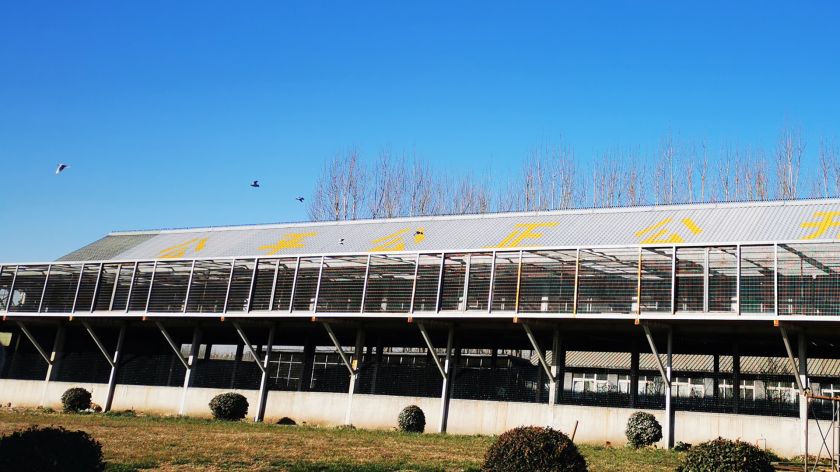 京东德仁吉信公棚500公里决赛