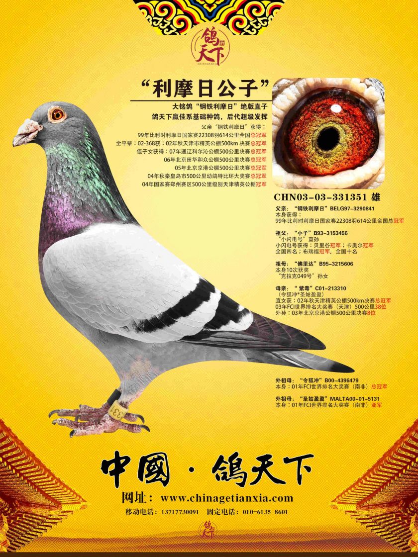 利奥003孙代 -- 中国信鸽协会官方网站