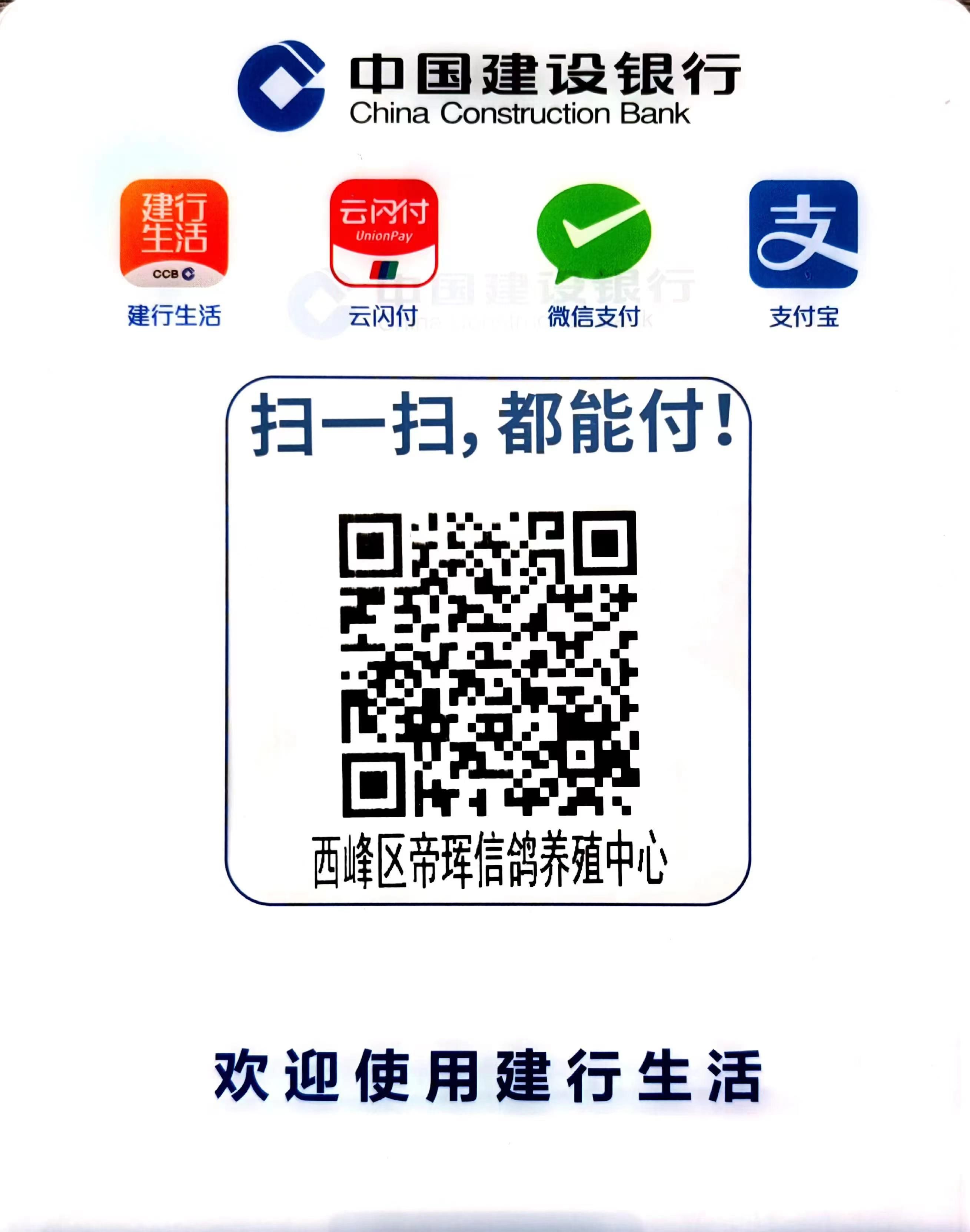 市西峰区支行扫描二维码：（微信、支付宝均可扫描以下二维码进行付款）