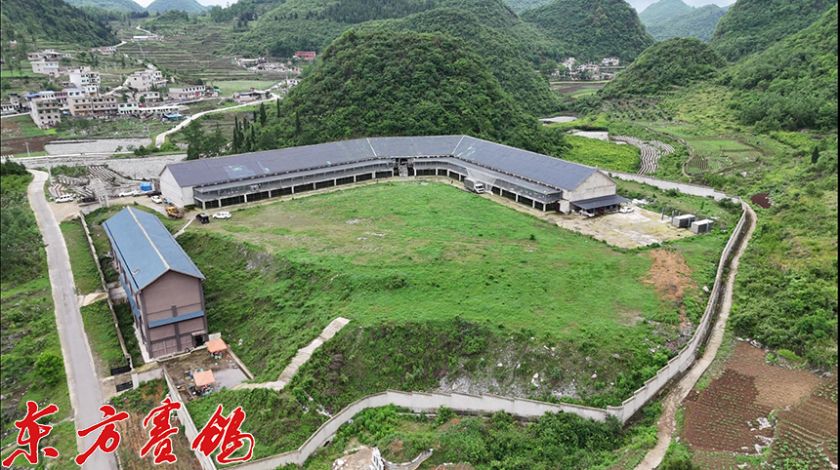 探索新赛线 勇闯迷魂阵 ——翠枫园春棚2024年春