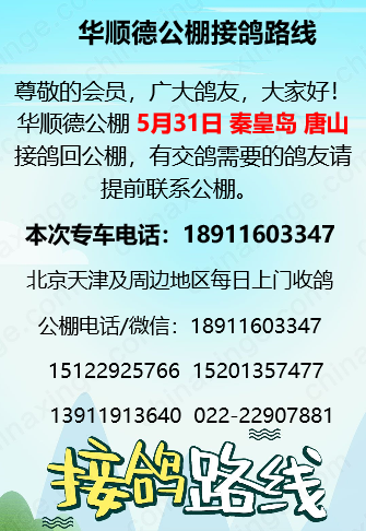 华顺德公棚5月31日秦皇岛唐山接鸽回公棚