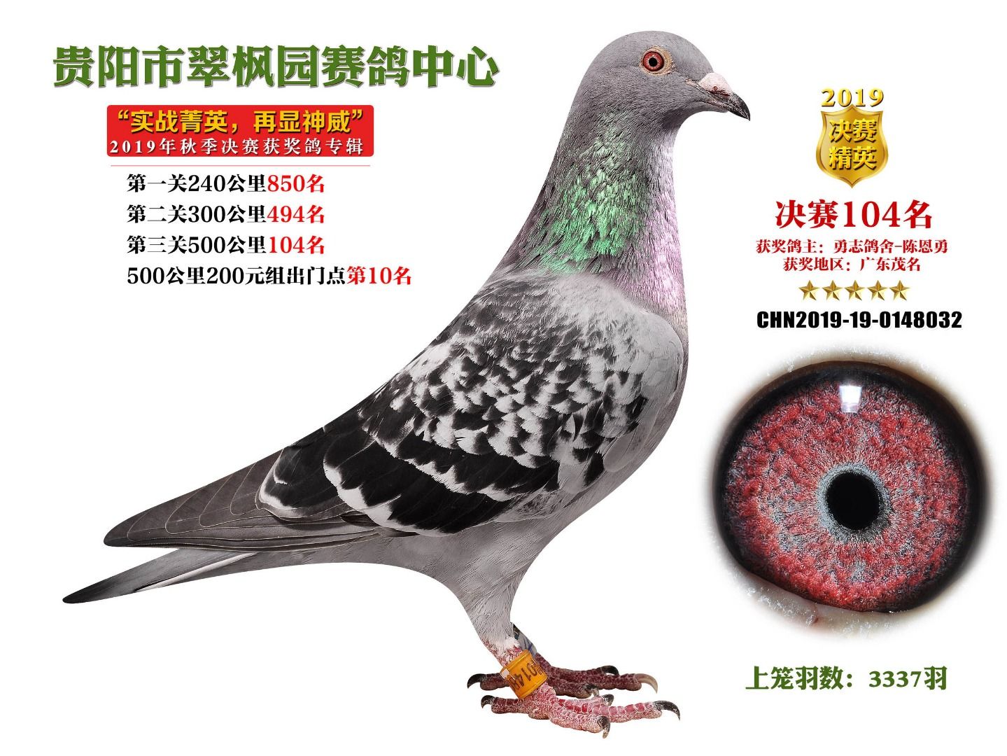 贵州翠枫园赛鸽公棚小图片