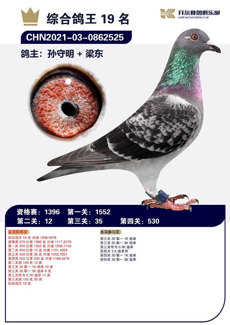 唐山开尔鸽业种鸽展厅图片