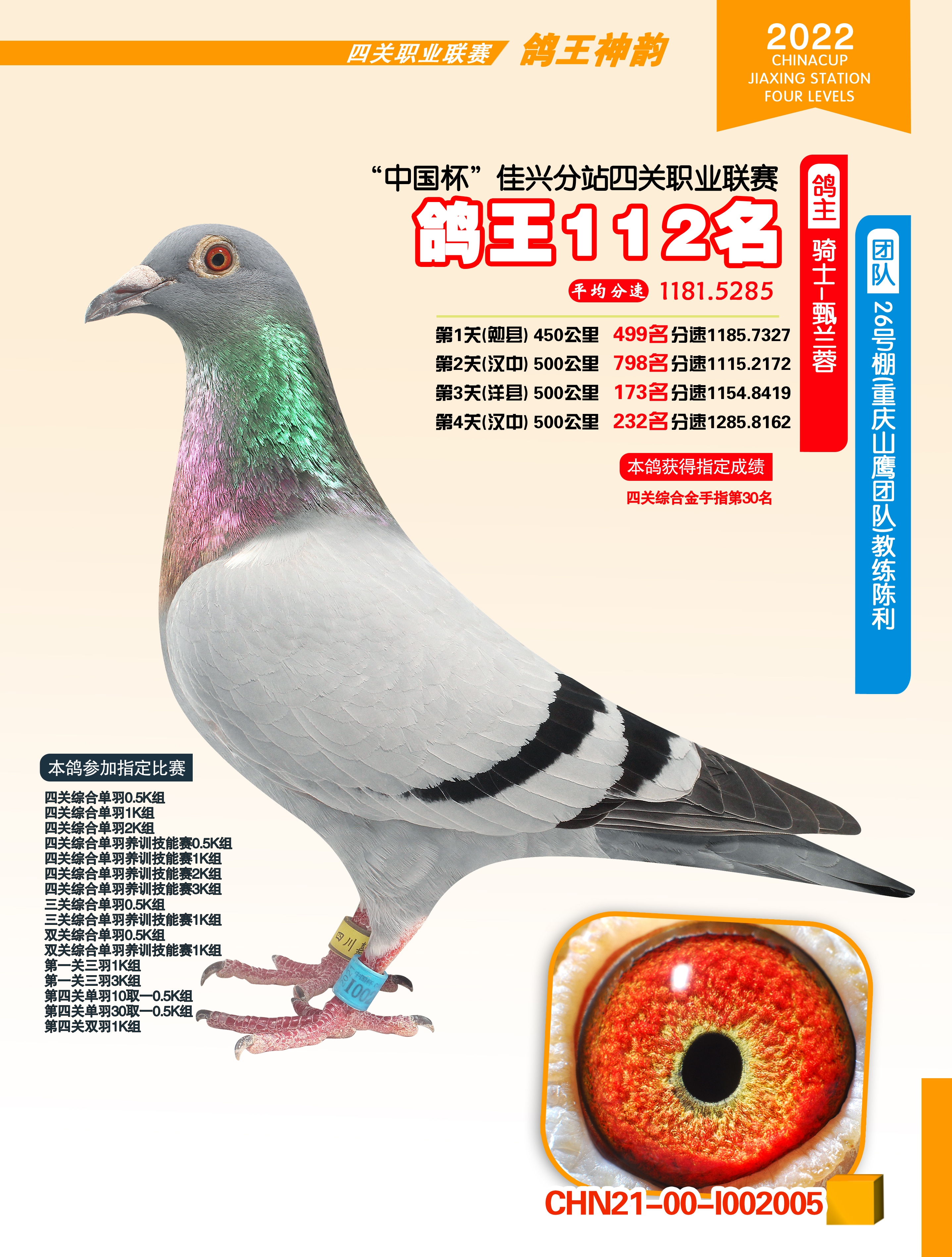 中国杯信鸽专用环2020图片