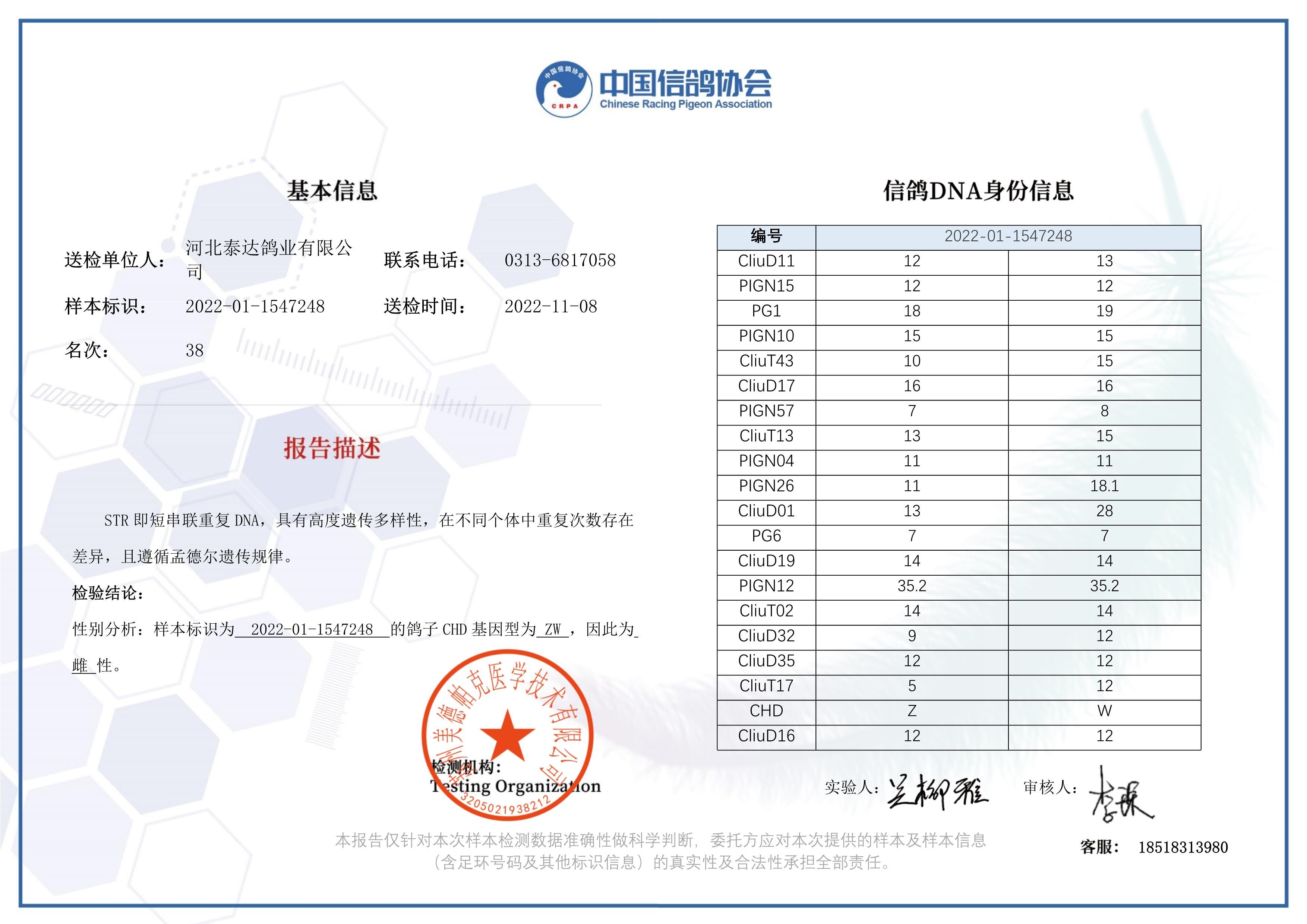 鸽子养殖许可证图片